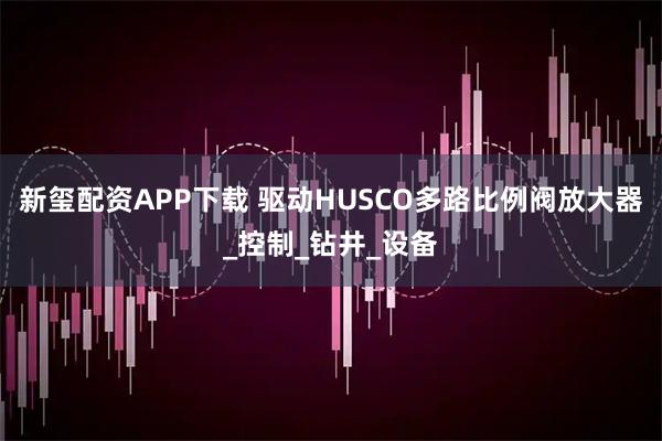新玺配资APP下载 驱动HUSCO多路比例阀放大器_控制_钻井_设备