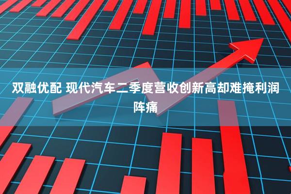双融优配 现代汽车二季度营收创新高却难掩利润阵痛