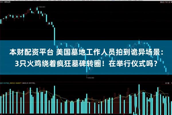 本财配资平台 美国墓地工作人员拍到诡异场景：3只火鸡绕着疯狂墓碑转圈！在举行仪式吗？