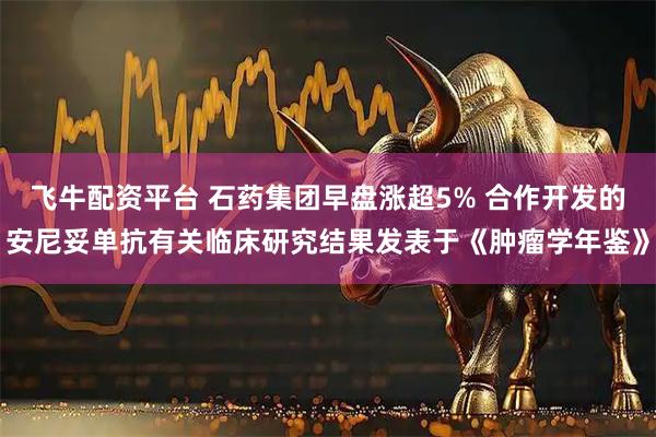 飞牛配资平台 石药集团早盘涨超5% 合作开发的安尼妥单抗有关临床研究结果发表于《肿瘤学年鉴》