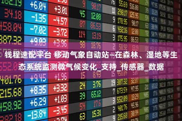 钱程速配平台 移动气象自动站—在森林、湿地等生态系统监测微气候变化_支持_传感器_数据