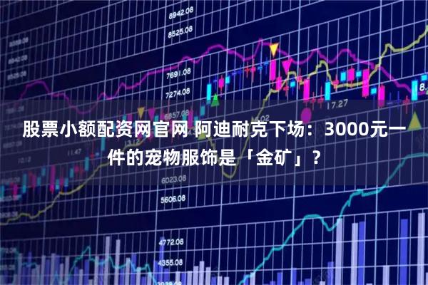 股票小额配资网官网 阿迪耐克下场：3000元一件的宠物服饰是「金矿」？